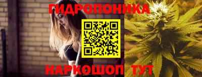 дурь Славгород