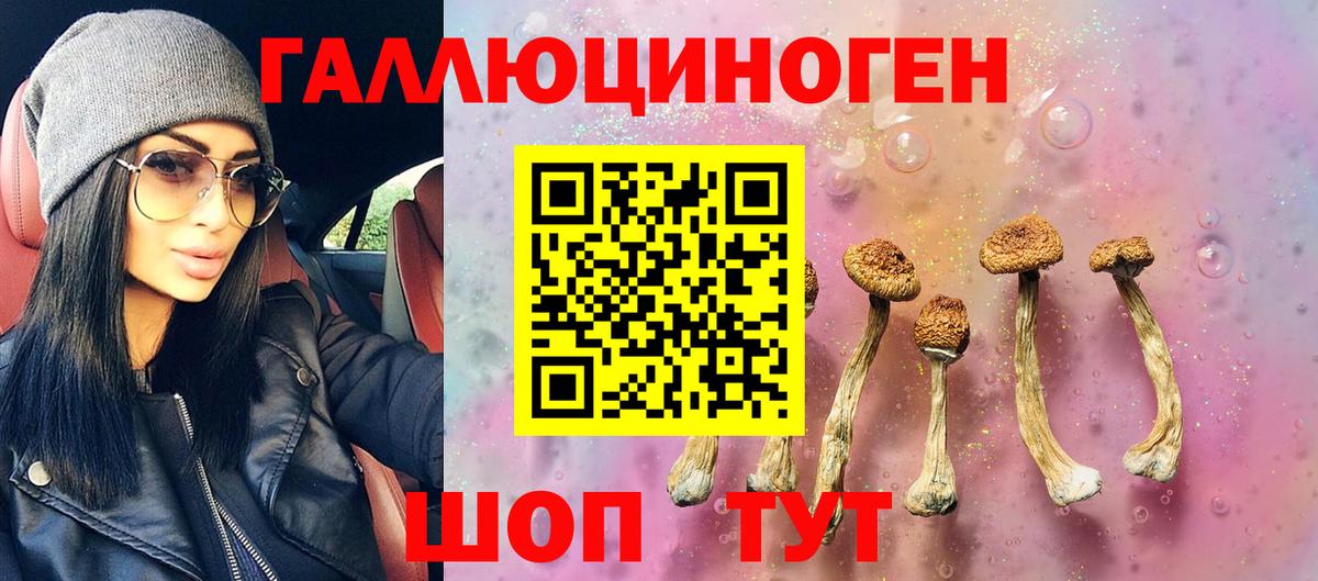 Псилоцибиновые грибы GOLDEN TEACHER  Вход с VPN  Балашиха 